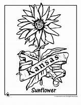 Coloring Kansas Pages State Flower Kids Printables Mountain sketch template