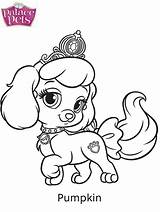 Pets Palace Pumpkin Coloring Pages Printable Kids sketch template