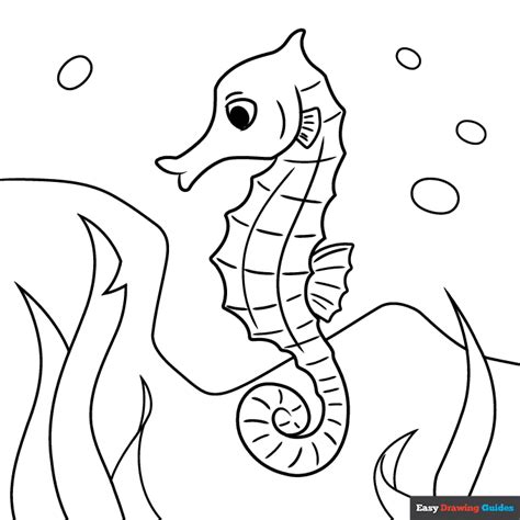 seahorse coloring page easy drawing guides