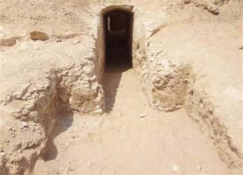 800 ancient egyptian tombs discovered at middle kingdom