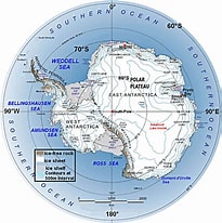 Afbeeldingsresultaten voor "coelographis Antarctica". Grootte: 205 x 206. Bron: file.scirp.org