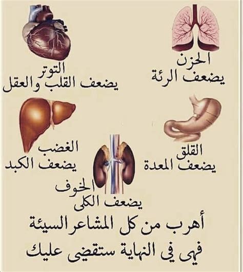 3 likes 0 comments زهرة البابونج zozok373 on instagram with images health and fitness