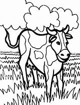 Meadow Cow Coloring Netart Color sketch template