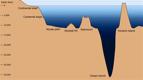 ocean floor features     earthcom earthpedia
