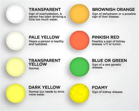 healthy tahoe  indicator  health   color   urine