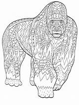 Gorilla Coloring Animal Adults Adult Vector Zentangle Dreamstime Illustration Preview sketch template