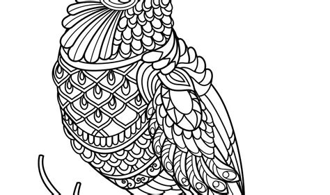animal coloring pages  adult coloring dog cat  coloring books