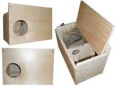 budgie nesting box plans google search fur baby favorites pinterest budgies nesting