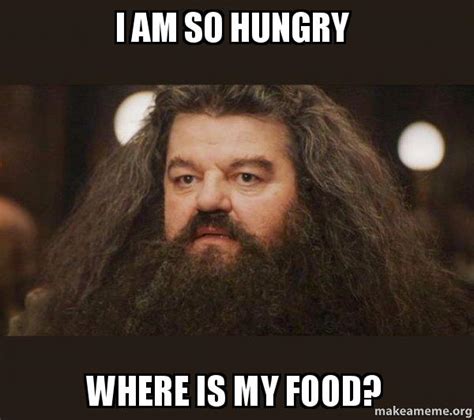 I Am So Hungry Where Is My Food Make A Meme
