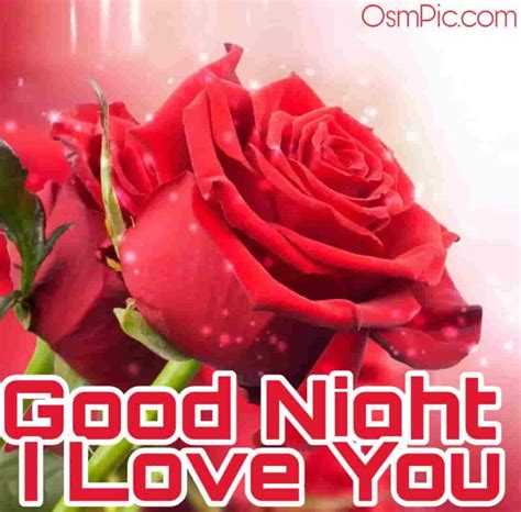 45 Good Night Rose Images Hd Pictures Wallpapers Of Gn
