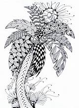 Coloring Summer Pages Adult Tree Printable Palm Adults Color Coloriage Mandala Trees Zentangle Books Online Drawing Colouring Palmier Print Therapy sketch template