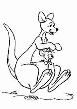 Coloring Kangaroo Pages Kids Printable Colouring sketch template