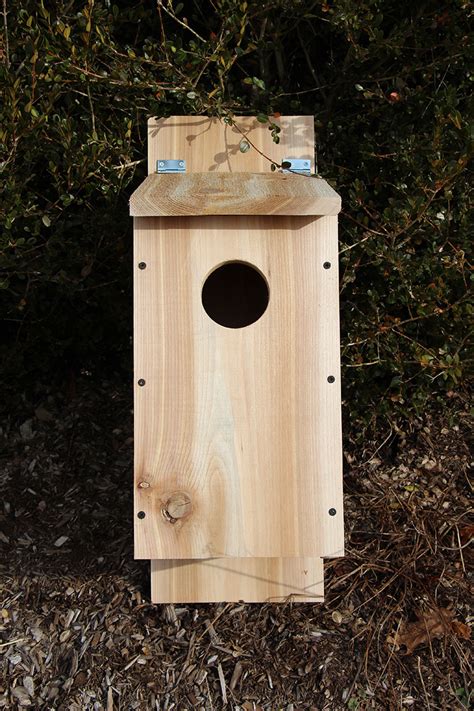birdhouse plans updated   guide patterns
