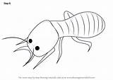 Termite Drawingtutorials101 Insects sketch template