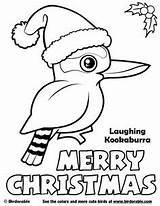 Coloring Christmas Pages Kookaburra Aussie Birdorable Australian Sheets Svg Merry Birds Kids Easy Laughing Drawing Cute Cards Visit Printables sketch template