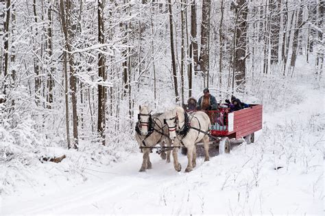 daytime sleigh ride dual acres wagon sleigh rides