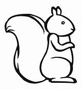 Squirrel Coloring Outline Template Pattern Chipmunk Drawing Printable Kids Clipart Draw Simple Pages Templates Clip Print Color Marshmallow Baby Cute sketch template