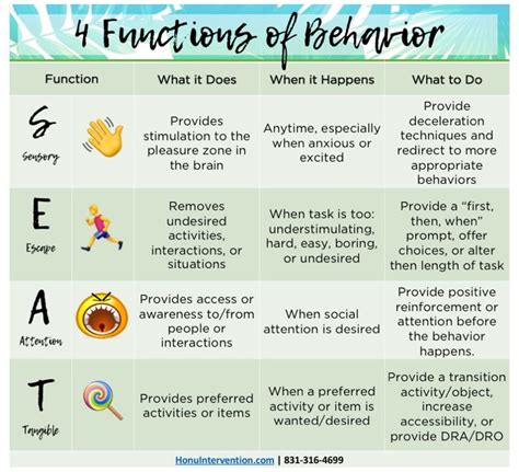 functions  behaviors behavior interventions challenging