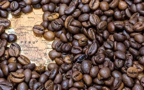 cafe organico perunoa peru pais cafetal peru el pais del mejor cafe