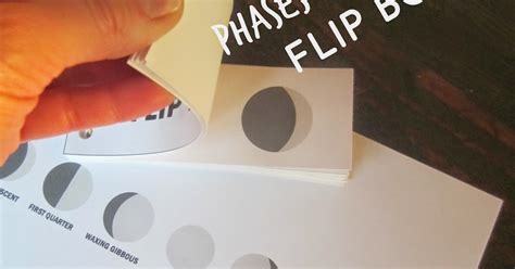 relentlessly fun deceptively educational phases of the moon flip book