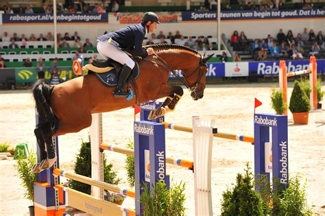 olympics show jumping google search show jumping horse jumping olympics