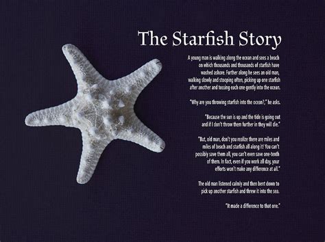 starfish story poster   influential tristan website