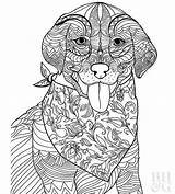 Cani Cane Cagnolini Difficili Animali Stilizzato Bhg sketch template