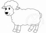 Lamb Coloring Easter Pages Sheep Cute Template Printable Lion Cartoon Outline Templates Easy Drawing Little Mary Had Clipart Wrapping Print sketch template