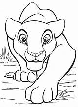 Kovu Pages Coloring Lion King Getdrawings sketch template