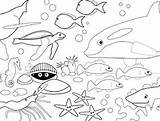 Sea Under Pages Coloring Printable Colouring Getcolorings Getdrawings sketch template