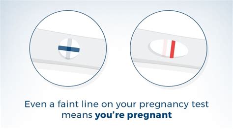 meaning  faint    pregnancy test clearblue