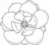 Coloring Flower Pages Flowers Large Magnolia Kids Outline Drawing Color Colouring Printable Sheets Drawings Tattoo Rose Print Books Real Flor sketch template