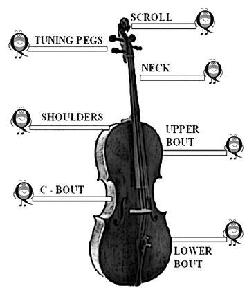 cello position  stringquest