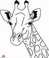 Giraffe Drawing Outline Clipart Head Drawings Neck Pencil Animal Color Clip Coloring Cliparts Draw Painting Pages Google Group Traceable Library sketch template