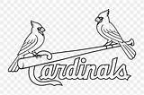 Cardinals Baseball Fred Fredbird Uniforms sketch template