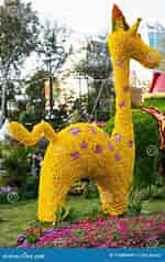 Image result for Giraffe Flowers. Size: 150 x 238. Source: www.dreamstime.com
