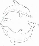 Dolphin Drawing Drawings Coloring Dolphins Pages Clipart Jumping Easy Line Cliparts Draw Step Pencil Cartoon Adults Ecco Getdrawings Clip Painting sketch template
