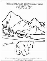 Coloring Yellowstone National Park Denali Pages Book Kids Printable Activity Bear Baby Parks Colouring Color Activities Designlooter Cute Drawings 46kb sketch template