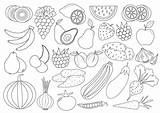 Vegetables Colorare Igname Frutti Bacche Fumetto Berries Vectoriels sketch template