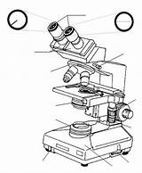 Microscope Drawing Parts Compound Binocular Light Worksheet Label Simple Sketch Getdrawings Body Drawings Paintingvalley sketch template