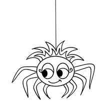 spider coloring pages  printables  color   halloween