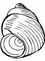 Seashell Coquillage Snail Colorier Clam Coloriages Colornimbus sketch template