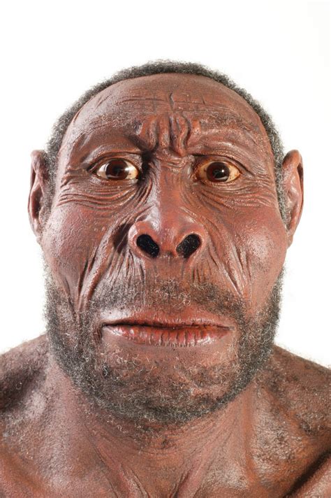 early homo sapiens face