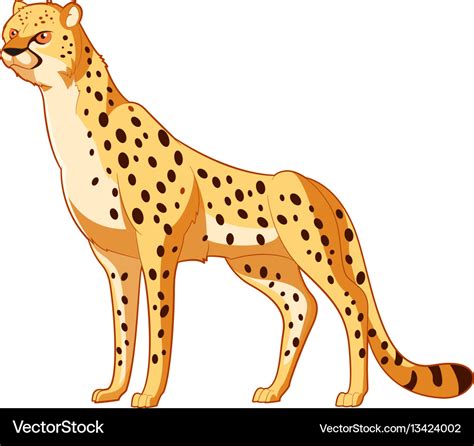 cheetah cartoon carinewbi