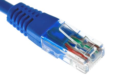 internet plug  ethernet cable   computer