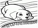 Pages Dachshund Dog Colouring Dogs Cartoon Printable Library Clipart Coloring sketch template