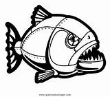 Piranha Malvorlage Fische sketch template