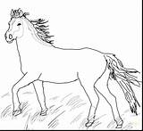 Horse Coloring Pages Mustang Printable Appaloosa Pony Wild Horses Pretty Quarter Herd Cute Getcolorings Print Paint Getdrawings Sheets Color Colorings sketch template