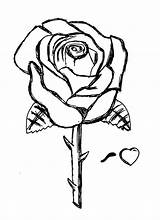 Roses Stampare Tatuaggi Fiori Copiare Bestcoloringpagesforkids Tipi Disegnare Frasi Luther Farfalle Nomi Incantevole Angeli Lettere Citazioni sketch template