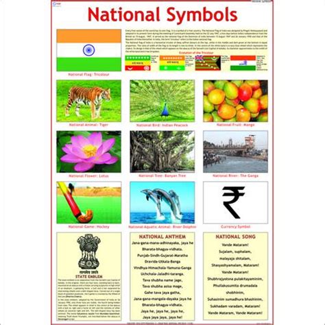 national symbols indiatimescom